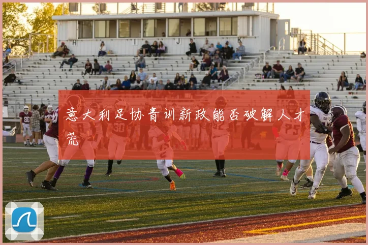 意大利足协青训新政能否破解人才荒