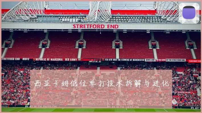 西亚卡姆低位单打技术拆解与进化