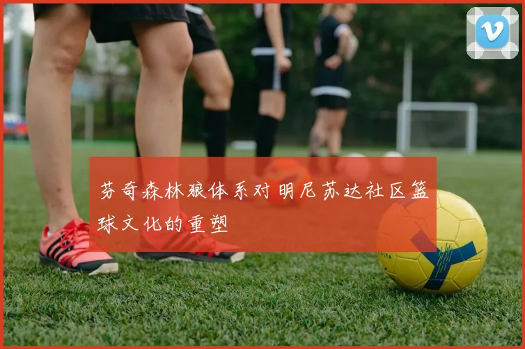 芬奇森林狼体系对明尼苏达社区篮球文化的重塑