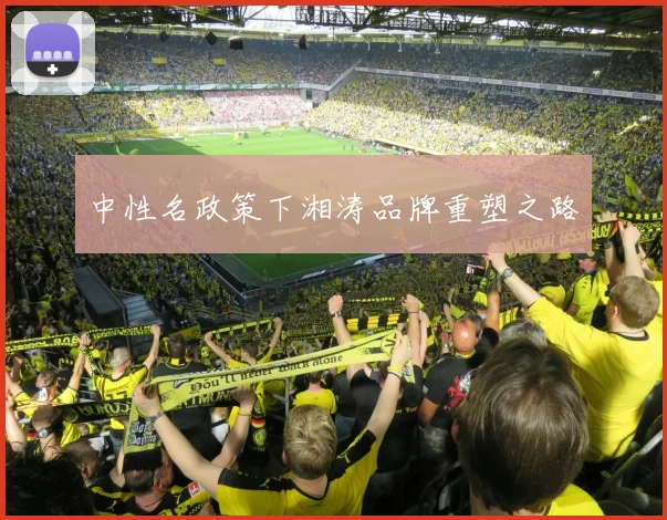 中性名政策下湘涛品牌重塑之路