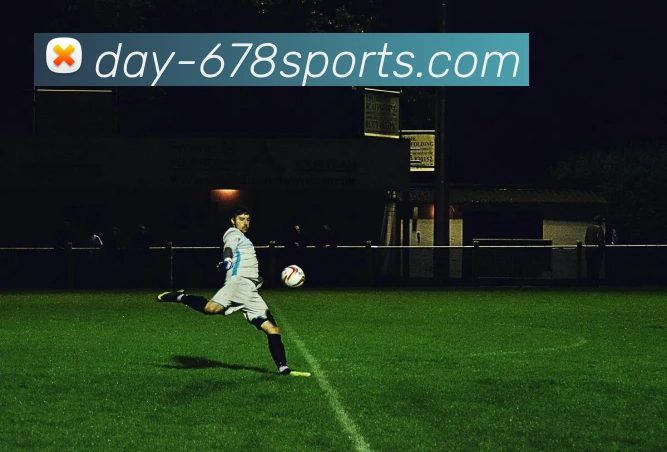 678体育APP 封面图